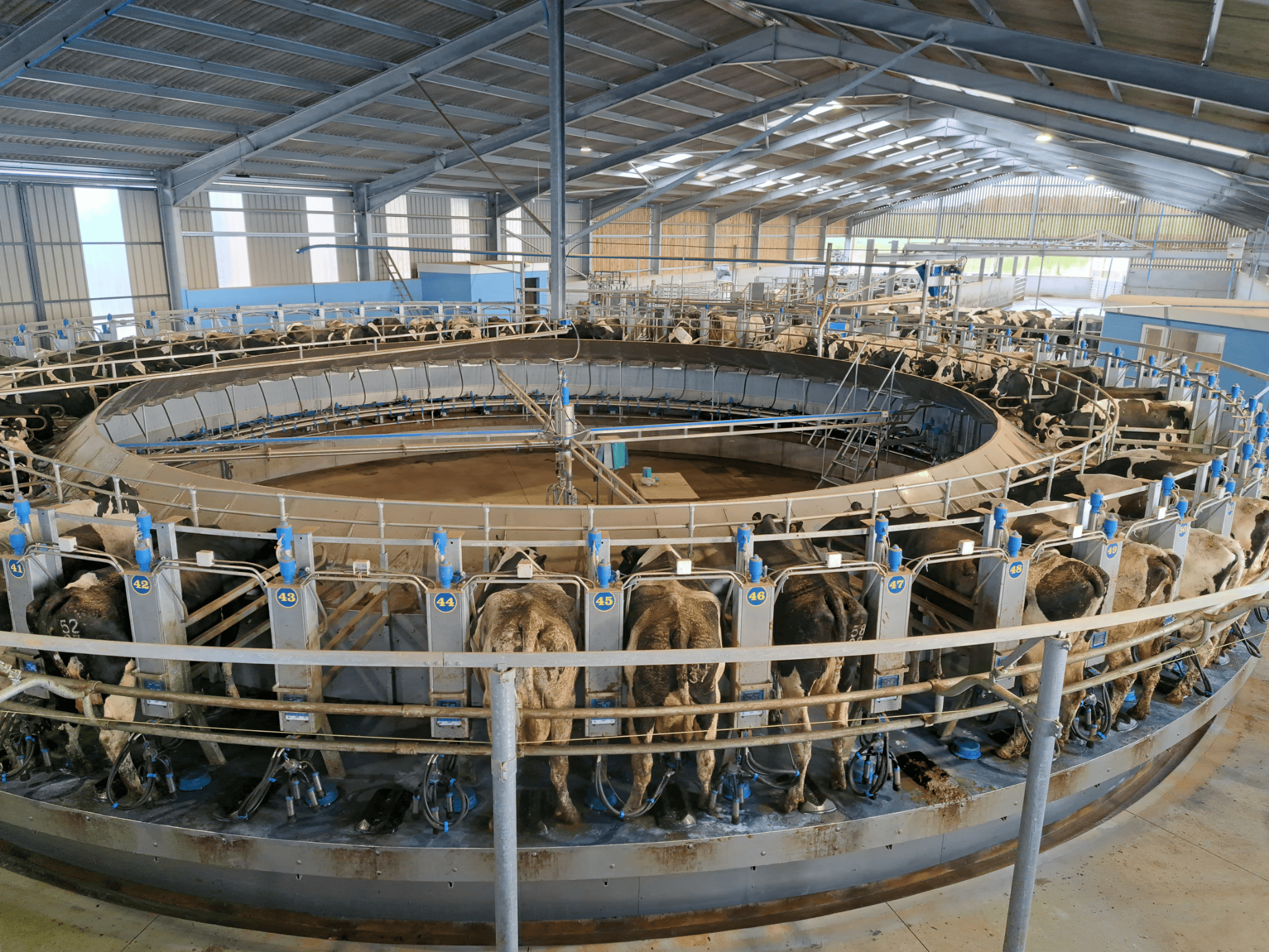 Untitled design (12)