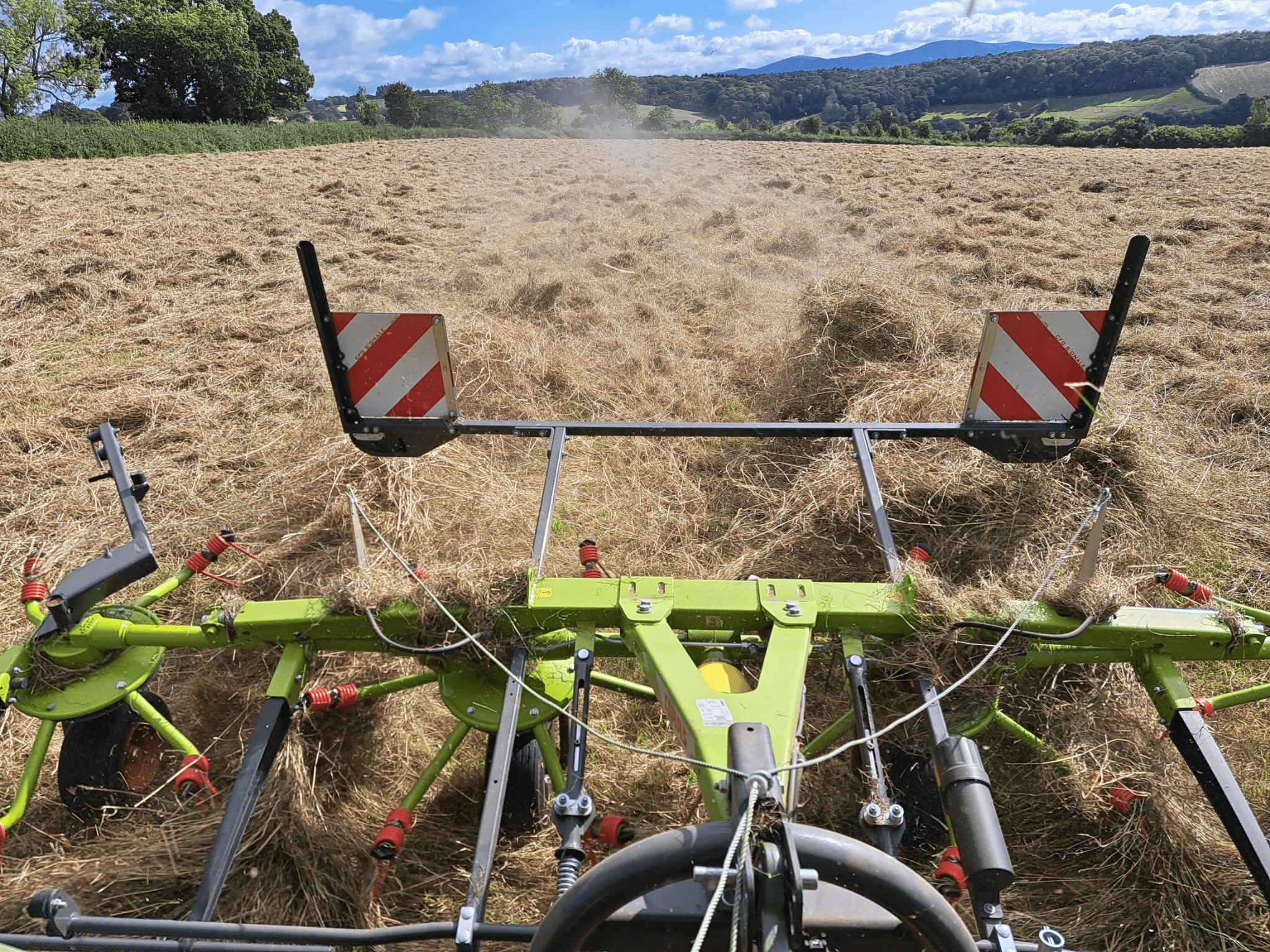 Untitled design (13)