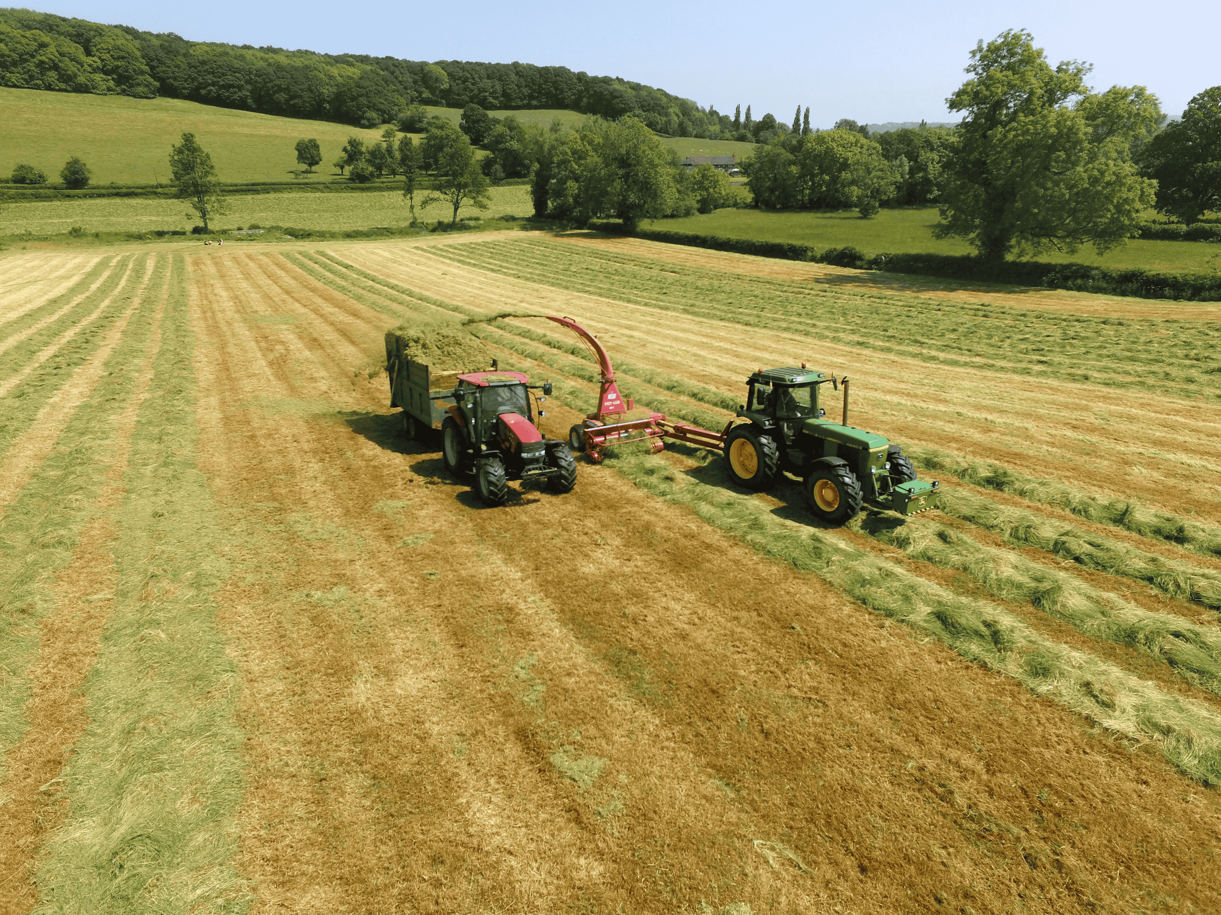 Untitled design (16)