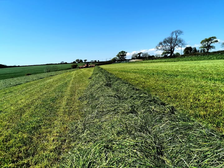 474205862_1827590924734317_1946851654212852978_n