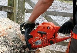Chainsaw Licence